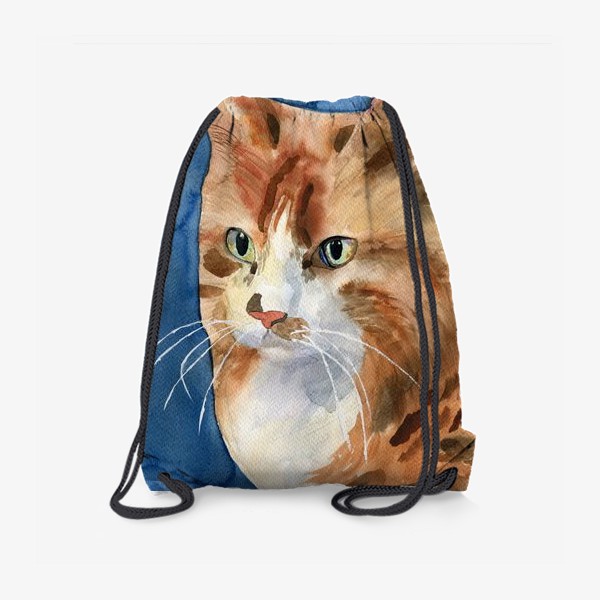 Рюкзак «домашняя кошка»