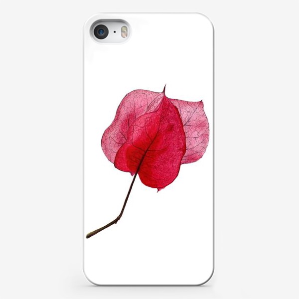 Чехол iPhone «Розовый цветок бугенвиллея»