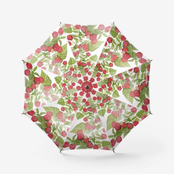 Зонт «Акварель, Бесшовный рисунок Ягода малина»