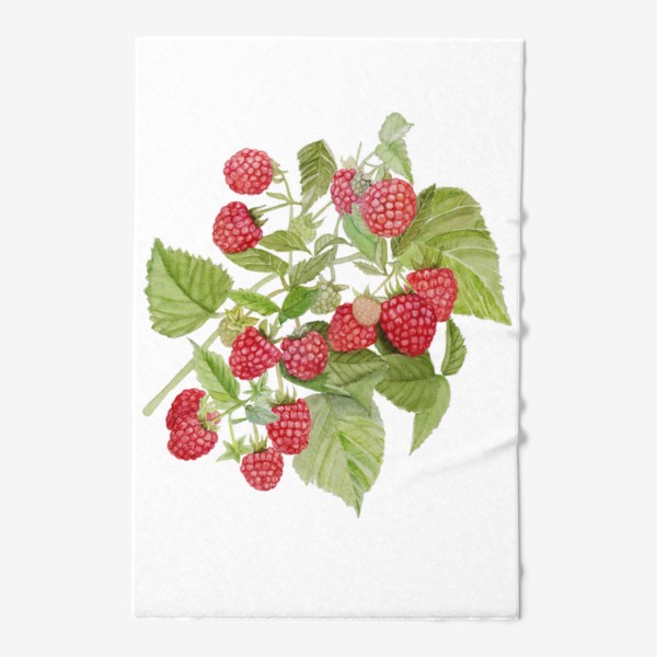 Полотенце «Watercolor illustration of red raspberry Bush.»