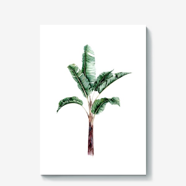 Холст «Тропики банановое дерево»