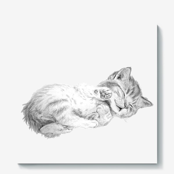 Холст «милый котенок спит»