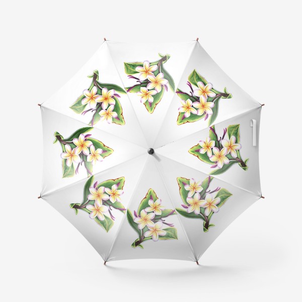 Зонт «Тайские цветы плюмерия (франжипани)»