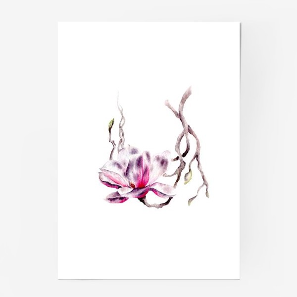 Постер «Цветок магнолия»