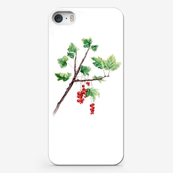 Чехол iPhone «Ветка смородины ботаническая иллюстрация»