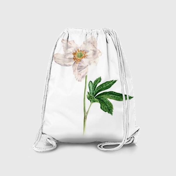 Рюкзак «Ветреница лесная ботаническая иллюстрация»