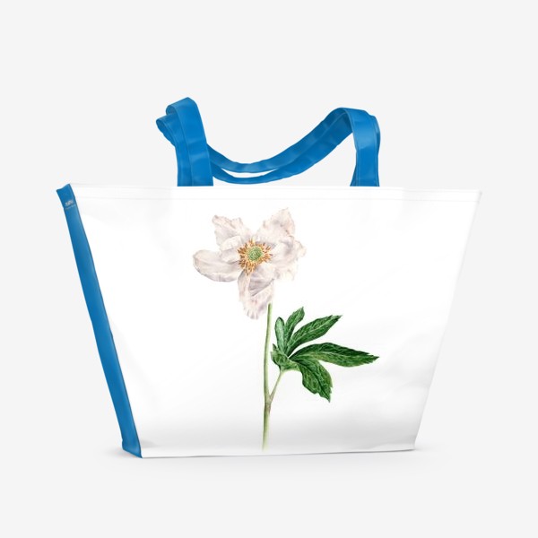 Пляжная сумка «Ветреница лесная ботаническая иллюстрация»