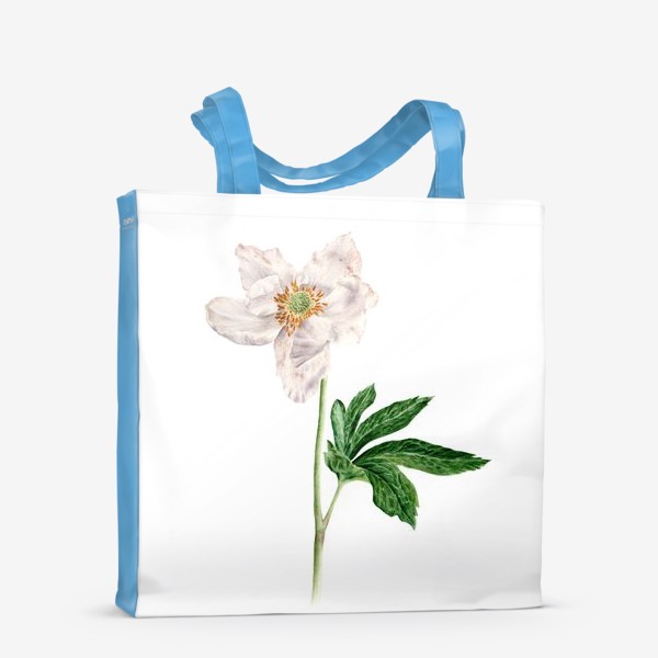 Сумка-шоппер «Ветреница лесная ботаническая иллюстрация»