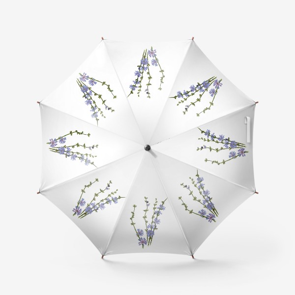 Зонт &laquo;Цветок Цикорий обыкновенный&raquo;