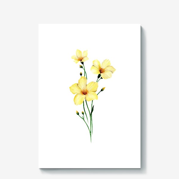 Холст &laquo;Желтые цветы ботаническая иллюстрация&raquo;