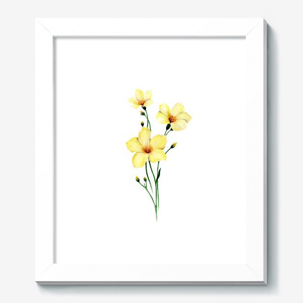 Картина &laquo;Желтые цветы ботаническая иллюстрация&raquo;