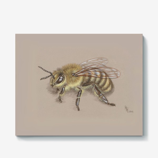 Холст «Пчела»