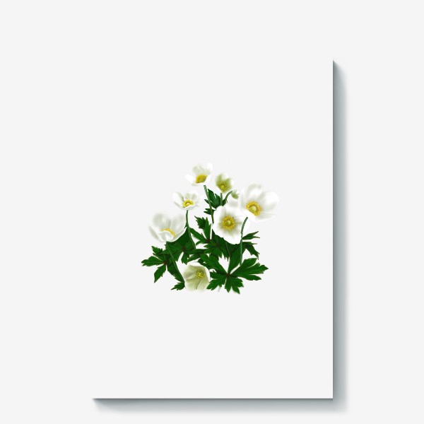 Холст «Цветы белые »