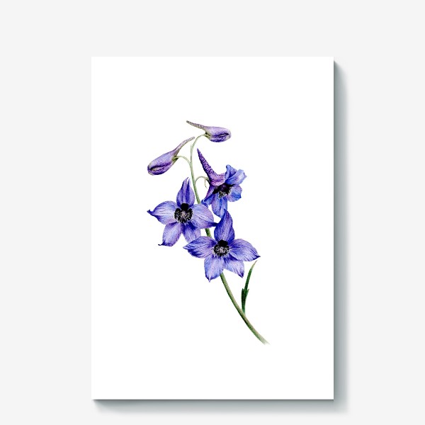 Холст «Фиолетовые цветы ботаническая иллюстрация»