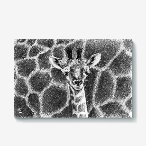 Холст «Жираф черно-белый»