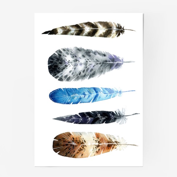 Постер &laquo;Пять красивых перьев&raquo;