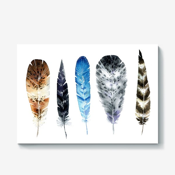Холст «Пять красивых перьев»