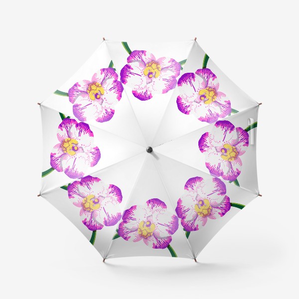 Зонт «Цветок орхидея фалинопсис»