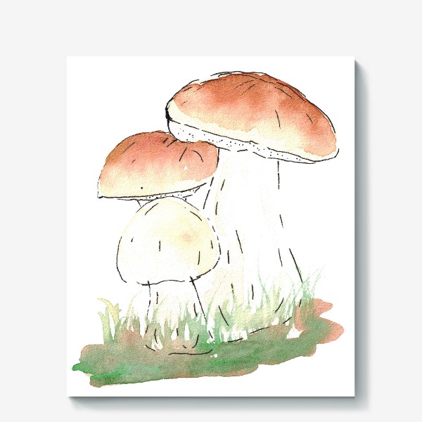 Холст «Porcini mushrooms»