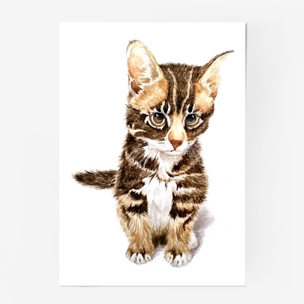 Постер «Милый котенок сидит»