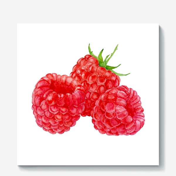 Холст &laquo;Raspberries on white background, watercolor drawing.&raquo;