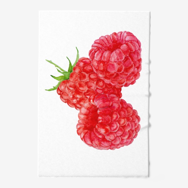 Полотенце «Raspberries on white background, watercolor drawing.»