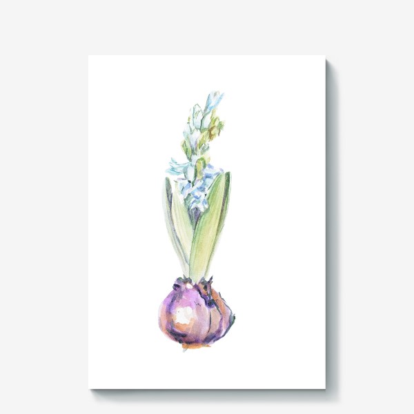 Холст «Акварельный цветок гиацинта»