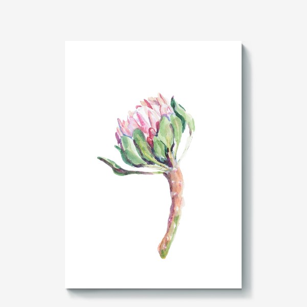 Холст «Экзотический цветок акварелью. Протея»
