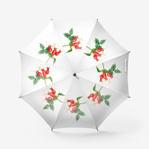 Зонт «Ветка шиповника ботаническая иллюстрация акварель»