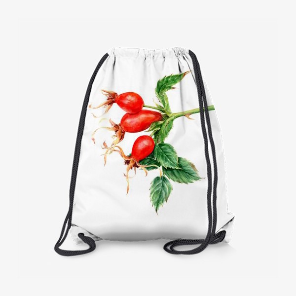 Рюкзак «Ветка шиповника ботаническая иллюстрация акварель»