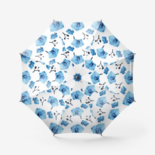 Зонт «Паттерн голубая орхидея ботаническая иллюстрация»
