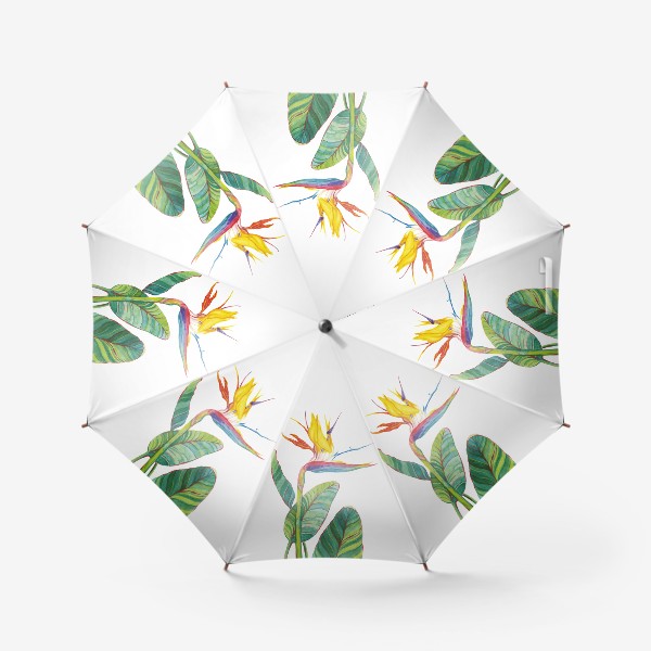 Зонт «Стрелиция с листьями»