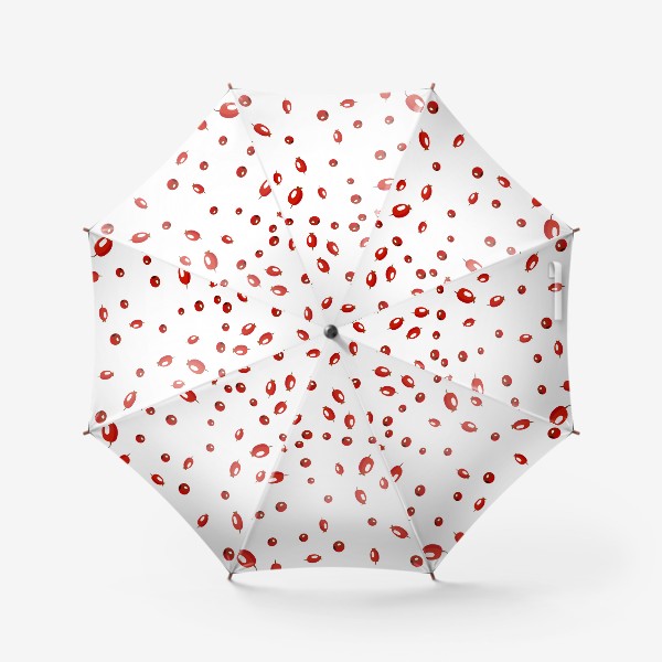 Зонт «шиповник ягоды»