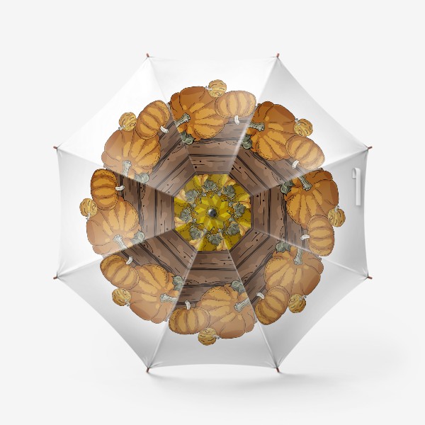 Зонт «Композиция из колоритных тыковок в деревянном боксе»