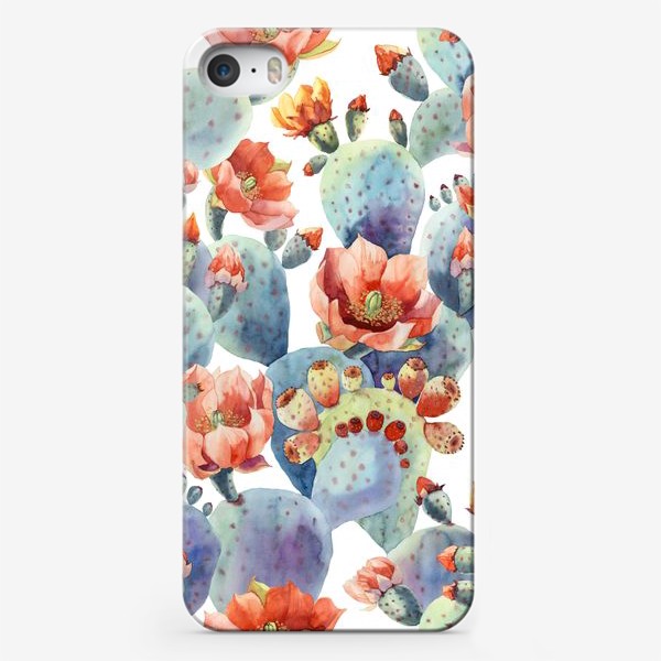 Чехол iPhone «Цветущие кактусы на белом фоне»