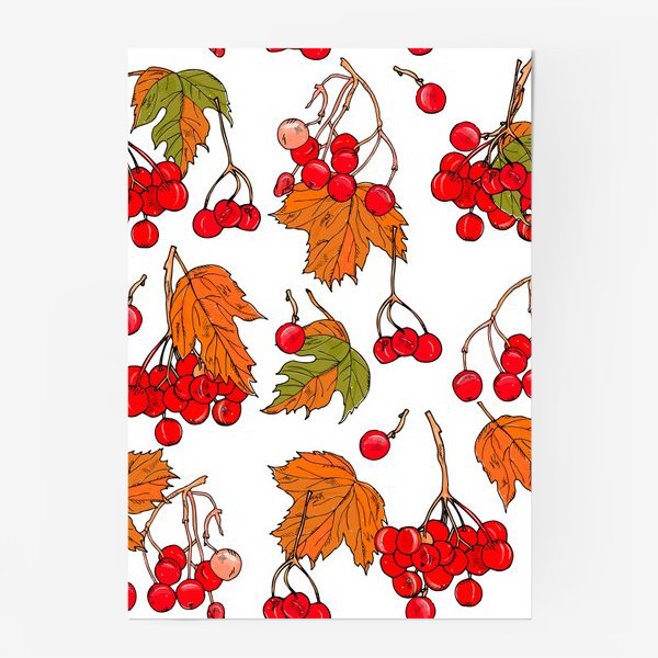 Постер «калина ягоды и листья»