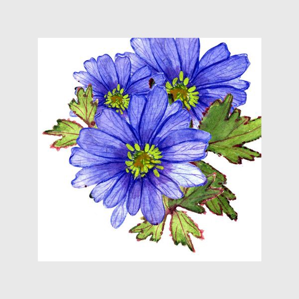 Шторы &laquo;синие цветы&raquo;