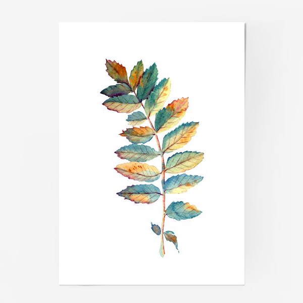 Постер «осенние листья рябина»