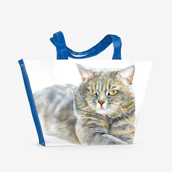 Пляжная сумка «Кот Арчи»