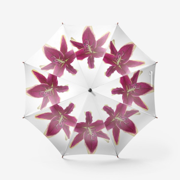 Зонт «Розовая лилия»