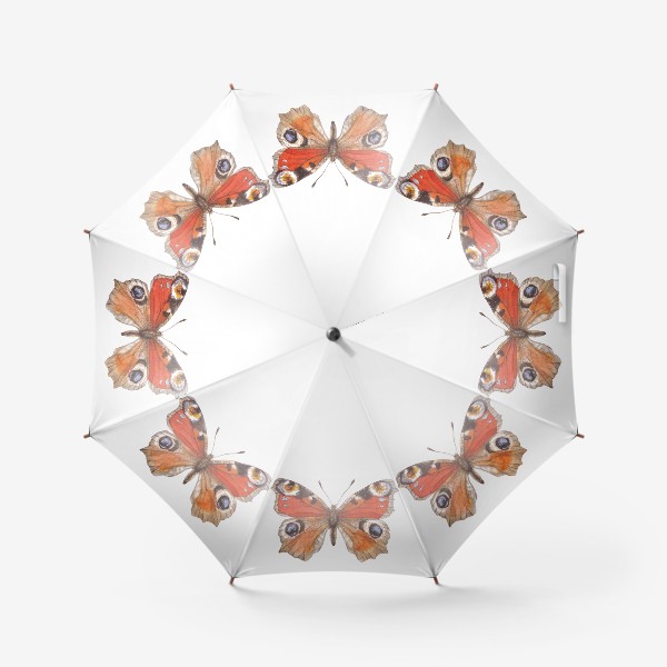 Зонт «Бабочка Павлиний глаз»