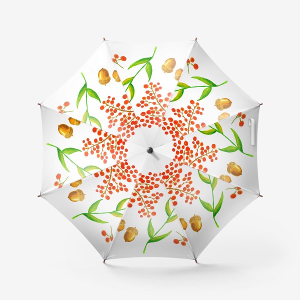 Зонт «Осенняя ботаника»