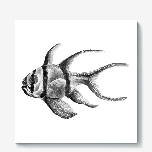 Холст «Рыба  Тюлевый апогон или Птерапогон каудерна рыбка»