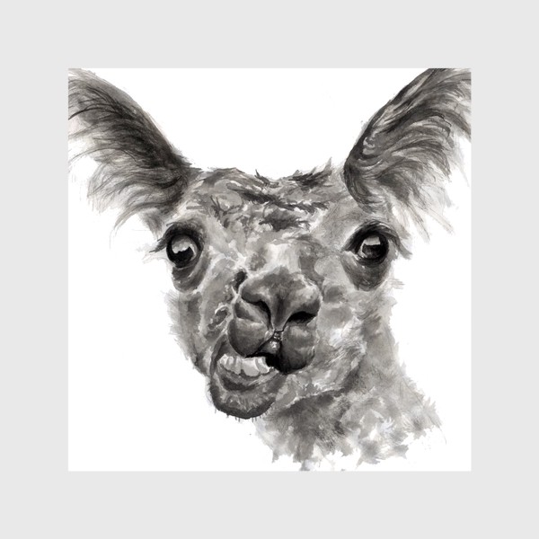 Шторы «Смешная и странная лама портрет животного»