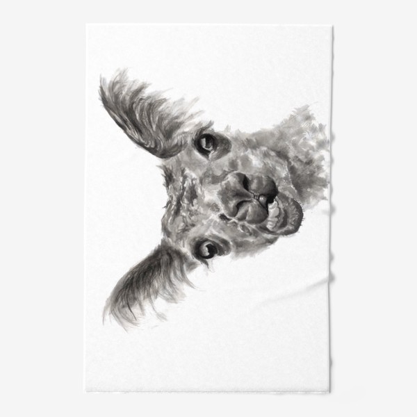 Полотенце «Смешная и странная лама портрет животного»