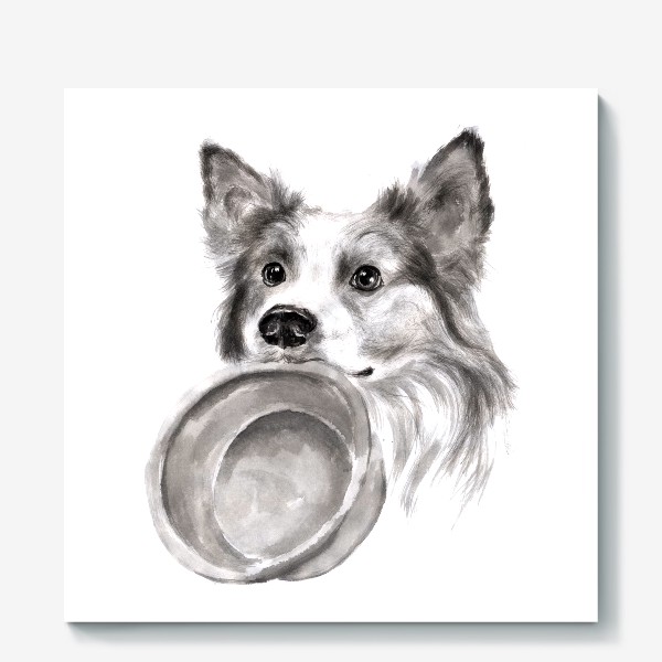 Холст «Портрет собака колли с миской»