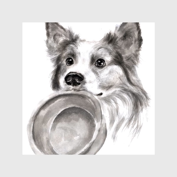 Шторы «Портрет собака колли с миской»