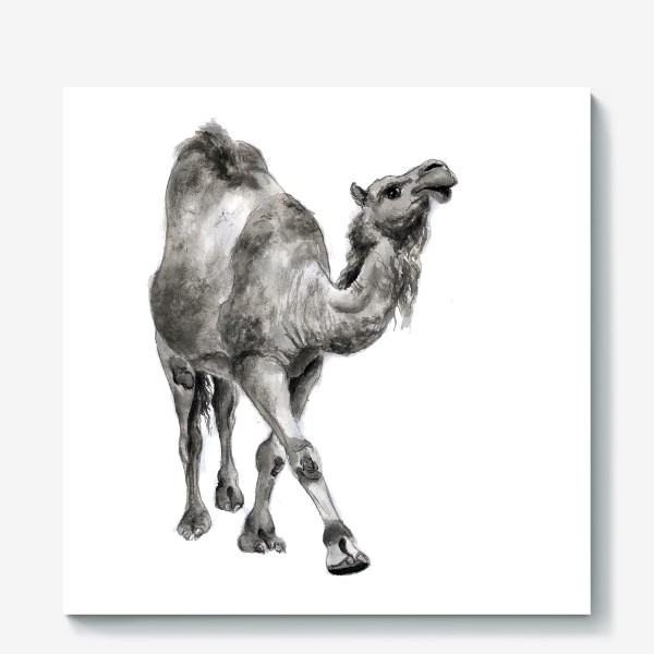 Холст «Гордый верблюд идет и улыбается»