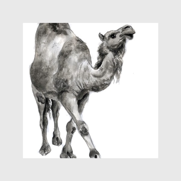 Шторы «Гордый верблюд идет и улыбается»
