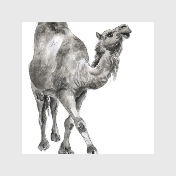 Скатерть «Гордый верблюд идет и улыбается»